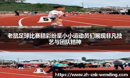 问鼎娱乐