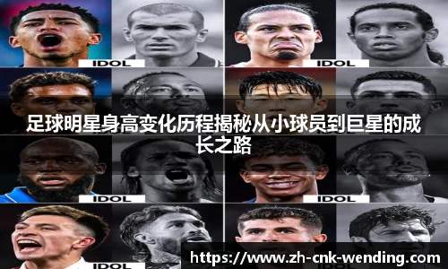 问鼎娱乐官网